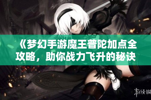 《梦幻手游魔王普陀加点全攻略，助你战力飞升的秘诀》
