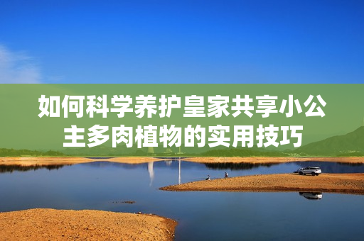如何科学养护皇家共享小公主多肉植物的实用技巧