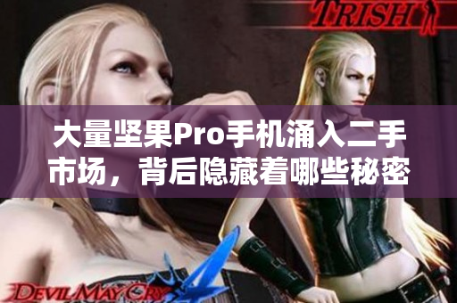 大量坚果Pro手机涌入二手市场，背后隐藏着哪些秘密和原因