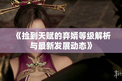 《捡到天赋的弃婿等级解析与最新发展动态》