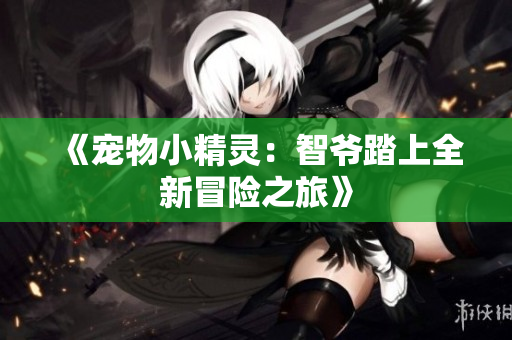 《宠物小精灵：智爷踏上全新冒险之旅》