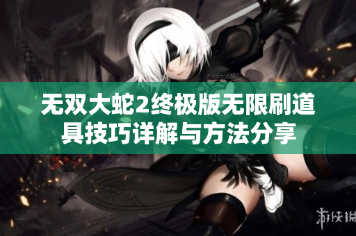 无双大蛇2终极版无限刷道具技巧详解与方法分享