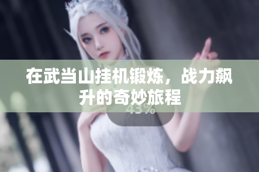 在武当山挂机锻炼，战力飙升的奇妙旅程