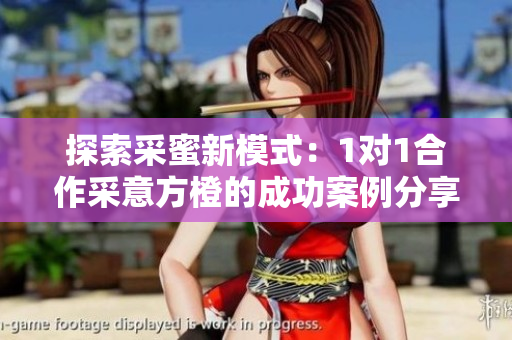 探索采蜜新模式：1对1合作采意方橙的成功案例分享