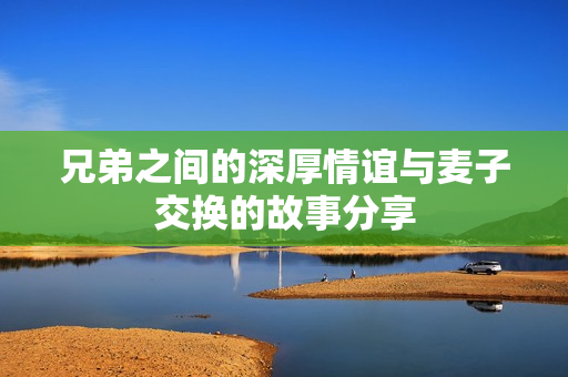 兄弟之间的深厚情谊与麦子交换的故事分享