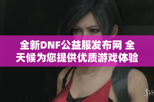 全新DNF公益服发布网 全天候为您提供优质游戏体验