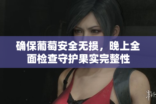 确保葡萄安全无损，晚上全面检查守护果实完整性