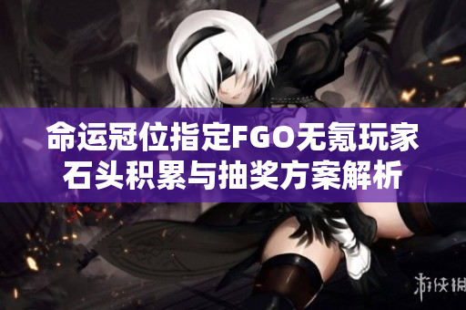 命运冠位指定FGO无氪玩家石头积累与抽奖方案解析