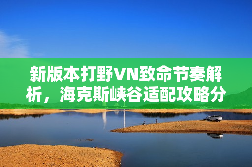 新版本打野VN致命节奏解析，海克斯峡谷适配攻略分享