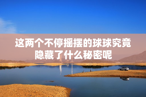 这两个不停摇摆的球球究竟隐藏了什么秘密呢