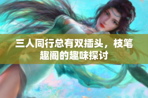 三人同行总有双插头，枝笔趣阁的趣味探讨