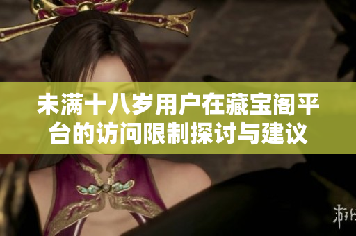未满十八岁用户在藏宝阁平台的访问限制探讨与建议