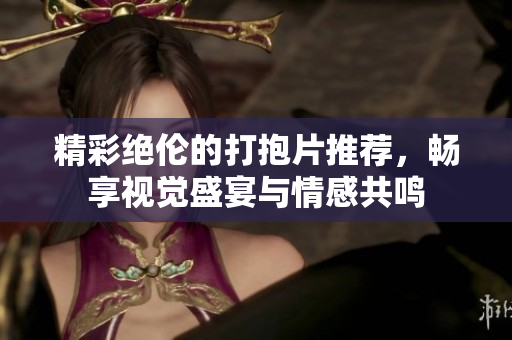 精彩绝伦的打抱片推荐，畅享视觉盛宴与情感共鸣