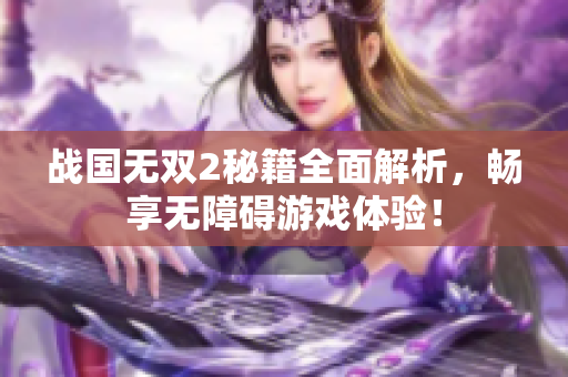战国无双2秘籍全面解析，畅享无障碍游戏体验！