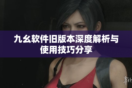 九幺软件旧版本深度解析与使用技巧分享