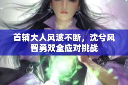 首辅大人风波不断，沈兮风智勇双全应对挑战