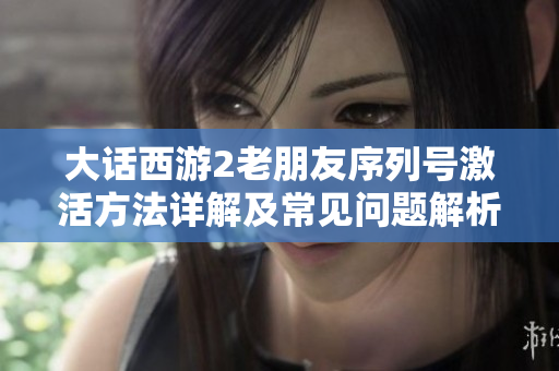 大话西游2老朋友序列号激活方法详解及常见问题解析