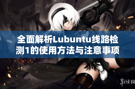 全面解析Lubuntu线路检测1的使用方法与注意事项