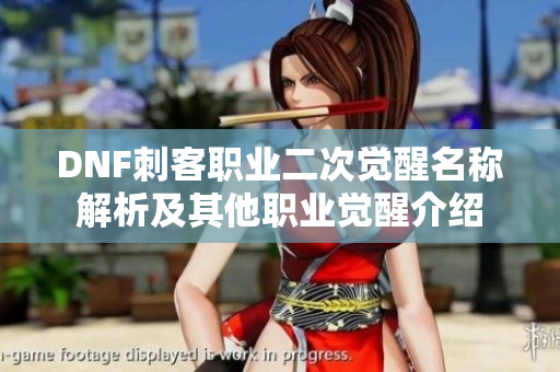 DNF刺客职业二次觉醒名称解析及其他职业觉醒介绍