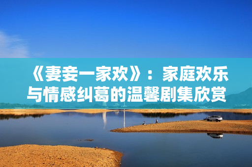 《妻妾一家欢》：家庭欢乐与情感纠葛的温馨剧集欣赏指南