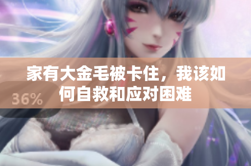 家有大金毛被卡住，我该如何自救和应对困难