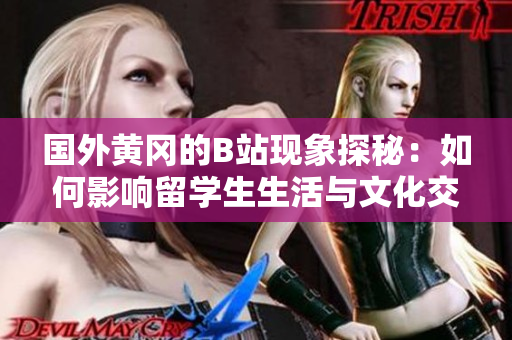 国外黄冈的B站现象探秘：如何影响留学生生活与文化交流