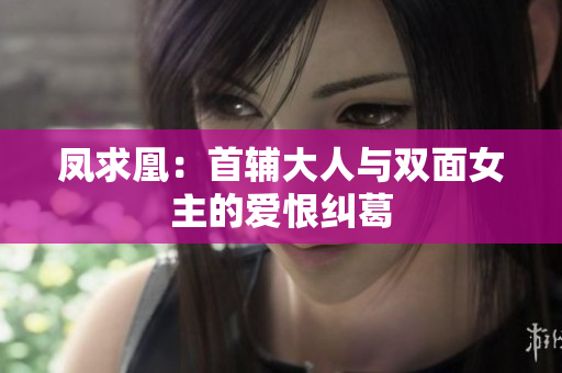 凤求凰：首辅大人与双面女主的爱恨纠葛