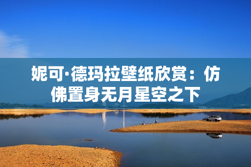 妮可·德玛拉壁纸欣赏：仿佛置身无月星空之下