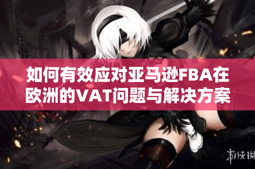 如何有效应对亚马逊FBA在欧洲的VAT问题与解决方案