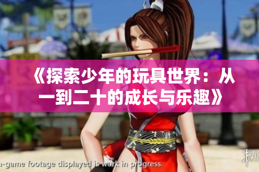 《探索少年的玩具世界：从一到二十的成长与乐趣》