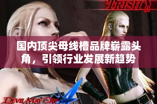 国内顶尖母线槽品牌崭露头角，引领行业发展新趋势