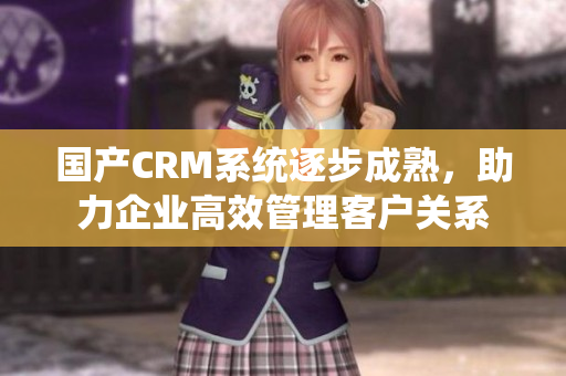 国产CRM系统逐步成熟，助力企业高效管理客户关系