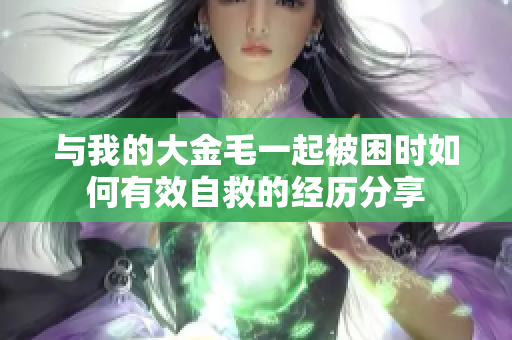 与我的大金毛一起被困时如何有效自救的经历分享