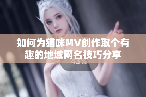 如何为猫咪MV创作取个有趣的地域网名技巧分享