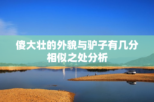 傻大壮的外貌与驴子有几分相似之处分析