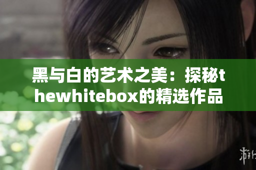 黑与白的艺术之美：探秘thewhitebox的精选作品