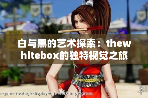 白与黑的艺术探索：thewhitebox的独特视觉之旅