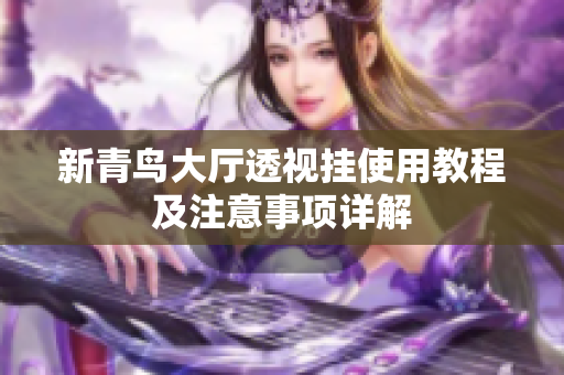 新青鸟大厅透视挂使用教程及注意事项详解