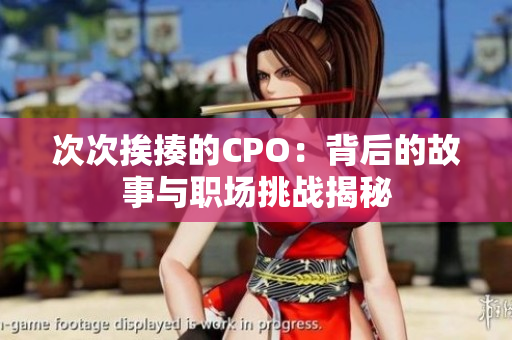 次次挨揍的CPO：背后的故事与职场挑战揭秘