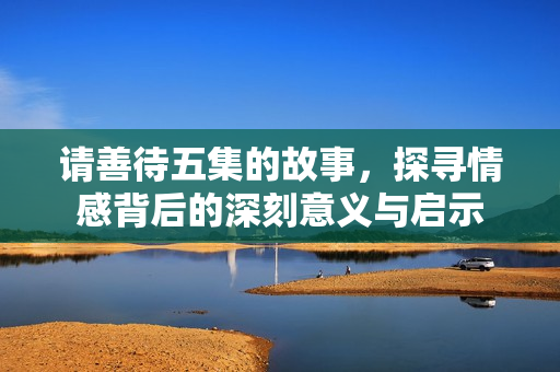 请善待五集的故事，探寻情感背后的深刻意义与启示
