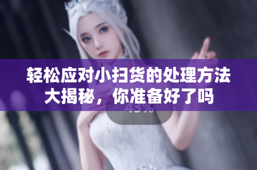 轻松应对小扫货的处理方法大揭秘，你准备好了吗