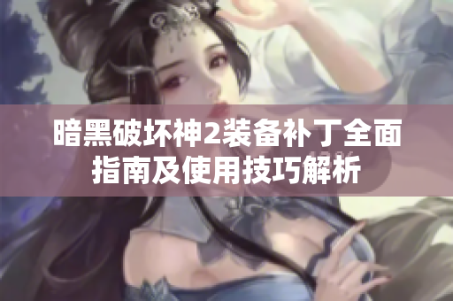 暗黑破坏神2装备补丁全面指南及使用技巧解析