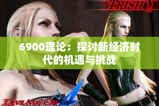 6900理论：探讨新经济时代的机遇与挑战