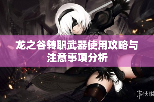 龙之谷转职武器使用攻略与注意事项分析