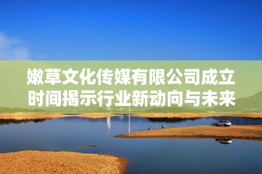 嫩草文化传媒有限公司成立时间揭示行业新动向与未来发展趋势