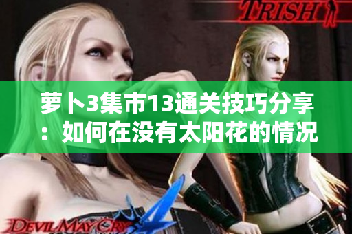 萝卜3集市13通关技巧分享：如何在没有太阳花的情况下获胜