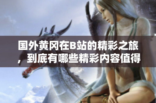 国外黄冈在B站的精彩之旅，到底有哪些精彩内容值得一看