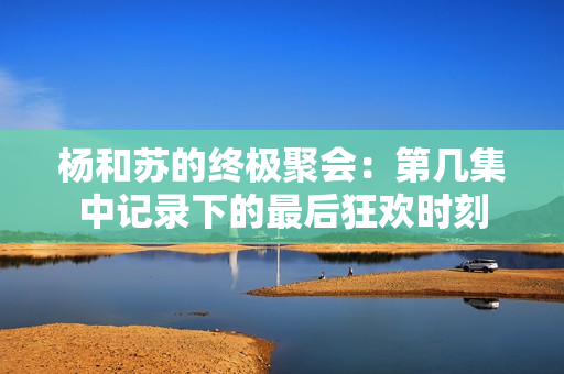 杨和苏的终极聚会：第几集中记录下的最后狂欢时刻