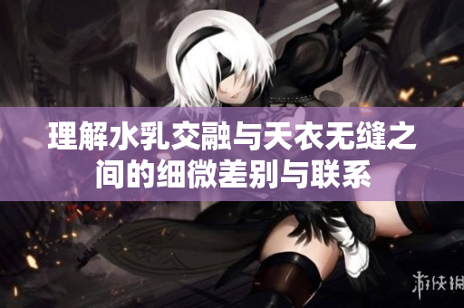 理解水乳交融与天衣无缝之间的细微差别与联系