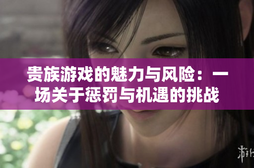 贵族游戏的魅力与风险：一场关于惩罚与机遇的挑战